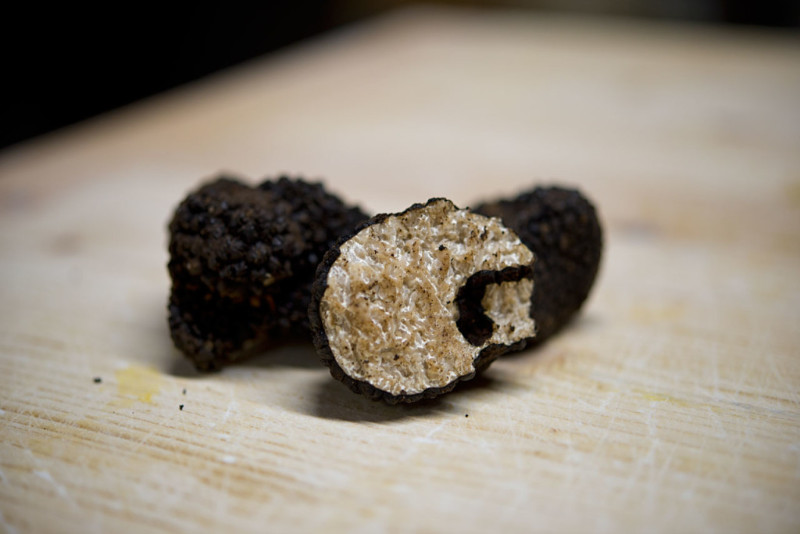 ristorante_castoro_preci_tartufo_dettaglio-1024x683